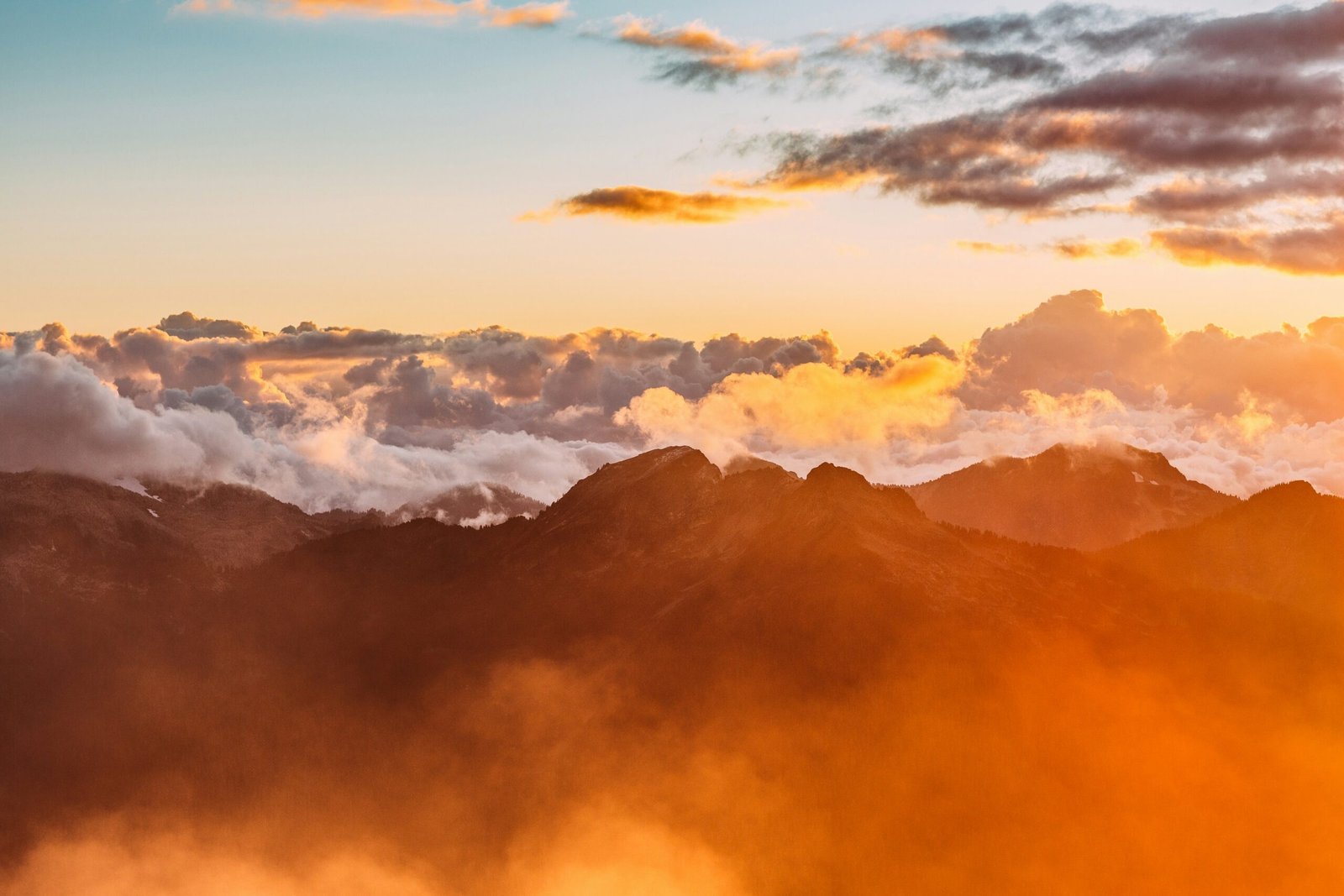 nitish meena rbbdzzbkrdy unsplash